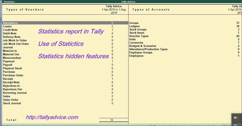 Tally Statistics report